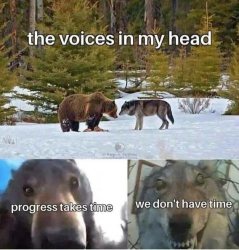 1000092605