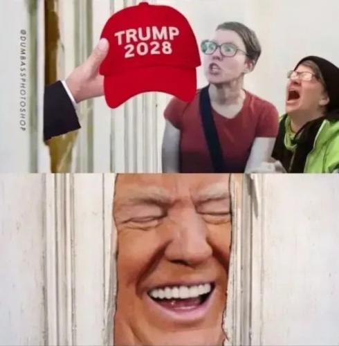 1000092547
