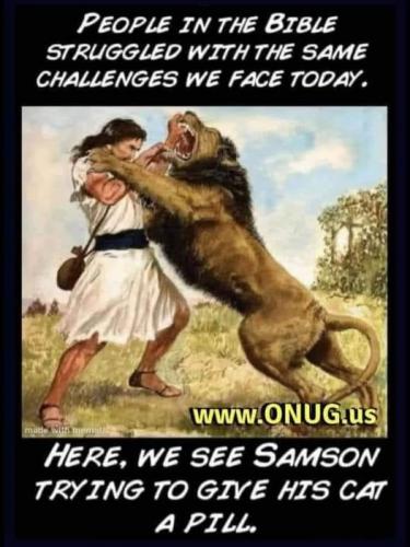 497073084_712550648032265_7326597467904844240_n