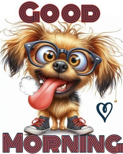 051325 - GM Puppy
