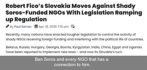 ban Soros NGOs