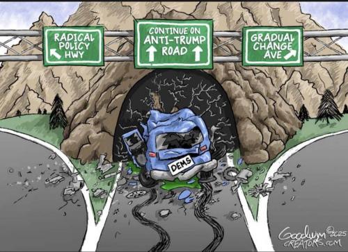 dem policy 2016 on