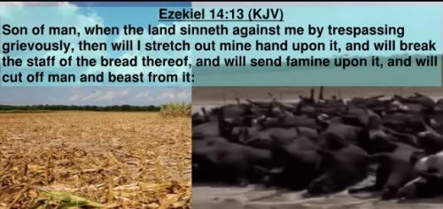 Ezekiel 14.13