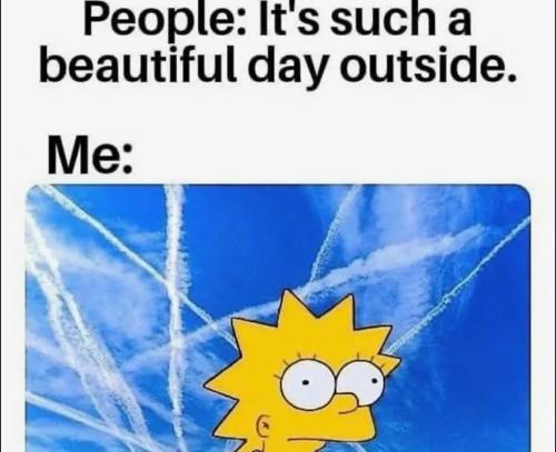 photo_2025-05-01_20-13-07