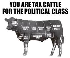 tax cow
