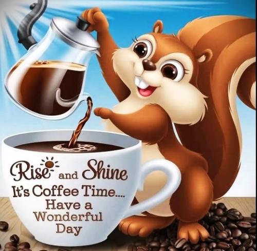 051025 - Rise & shine squirrel