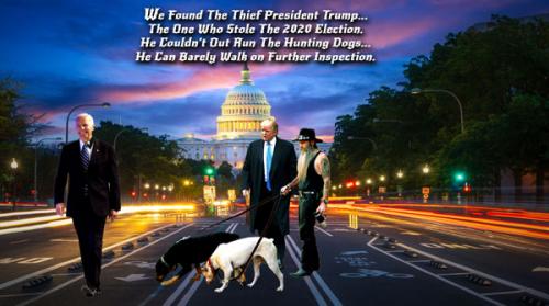 2020 Election Thief Found