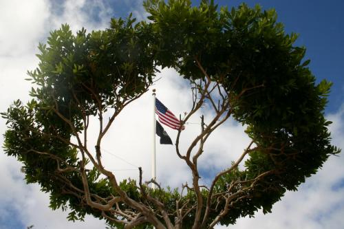 Flag - Through tree - 1