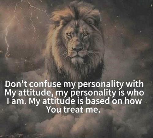 050825 - Attitude vs personality