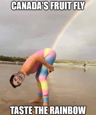 Justin Trudeau 102 - fruit fly