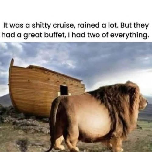 499031142_787161150304757_582844064545861160_n