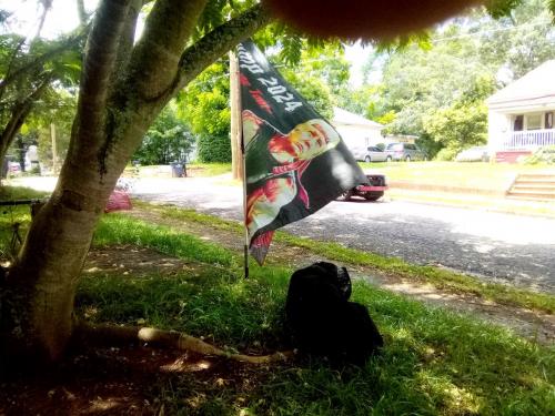 Patriotic Dog 2