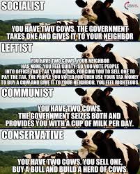 cow conservative