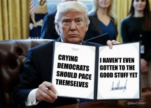 28c5dfab8382f9f6d9bbe9d9e6d794c7_1024