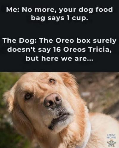 497940821_10236452974681504_5653898766802549876_n