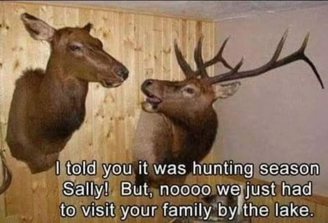 deer