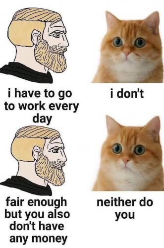 photo_2025-05-18_20-41-53