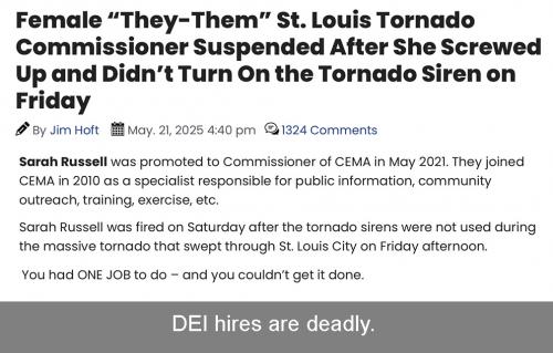 St. Louis DEI