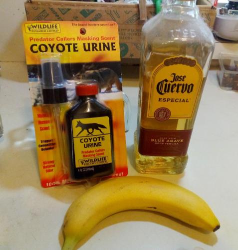 drink