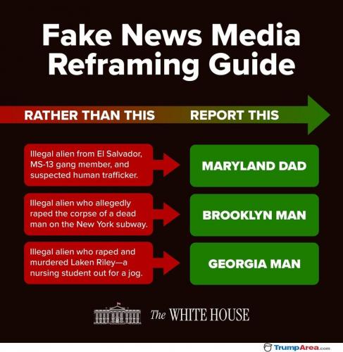 fake-news-guide