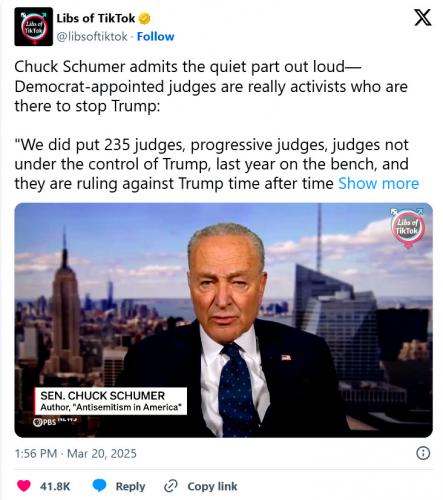 Schumer ~We Did Appoint 235 Really Ativosts Judges to STOP Trump