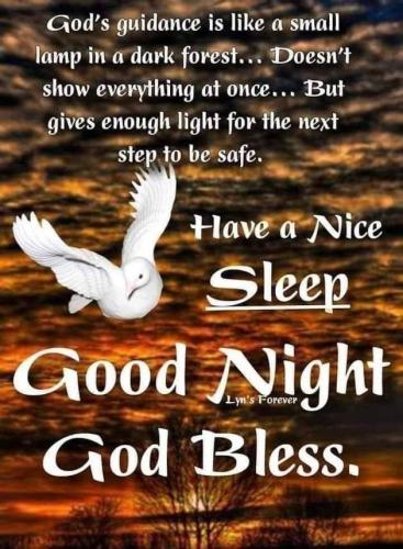 Dove 1