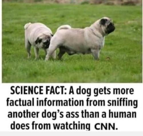 CNN