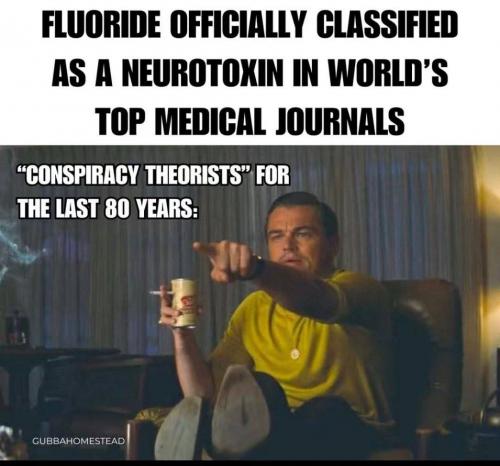 photo_2025-05-04_18-35-42