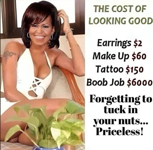 The cost of looking good Michelle Obama.809px