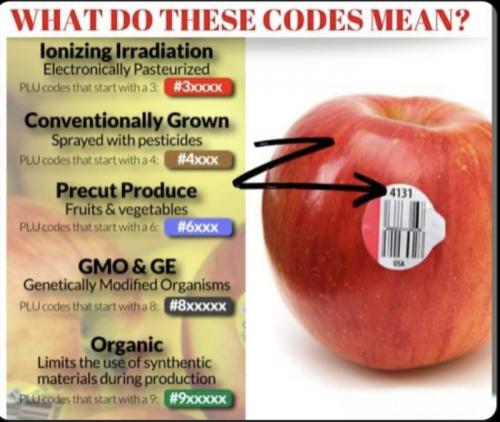 food codes