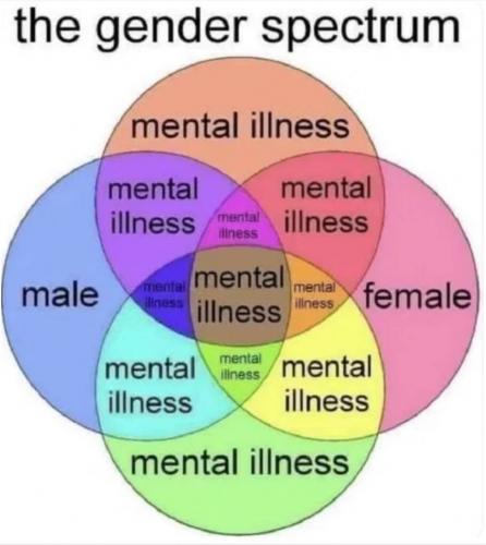 photo_2025-05-02_20-31-53