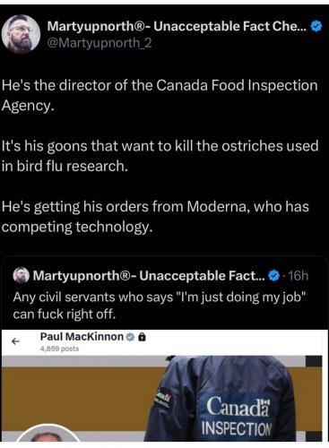 photo_2025-05-16_14-37-19