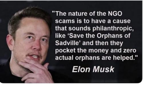 elon