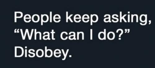 photo_2025-05-27_17-48-22