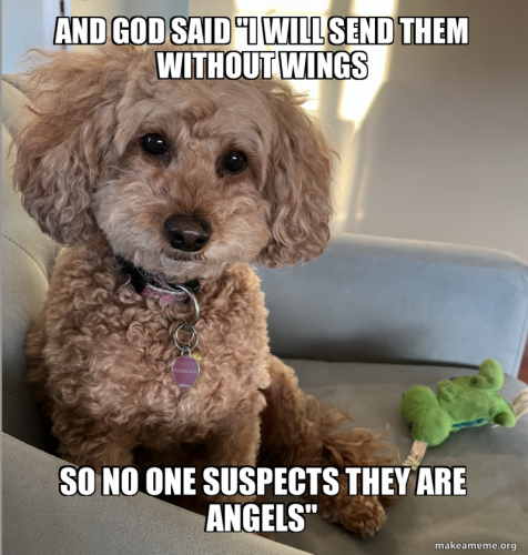 and-god-said-fd4c7af99c