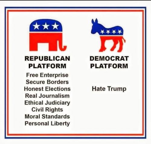 dem platform