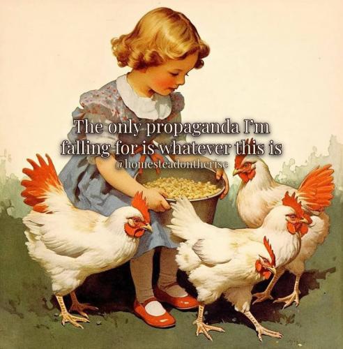 photo_2025-05-27_17-50-57