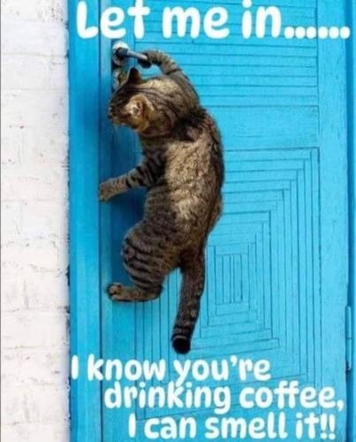 Let me in  wk