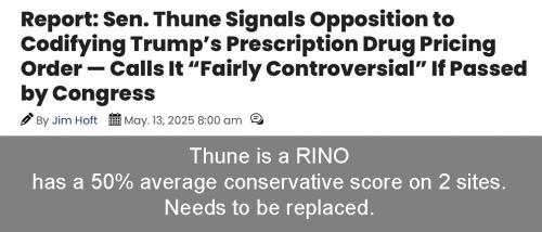 Thune RINO 23