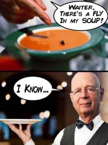 photo_2025-05-01_21-17-37