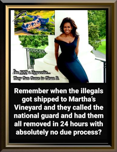 Michelle Obama at Martha's Vineyard