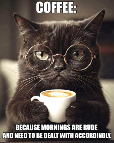 051225 - Morning are rude