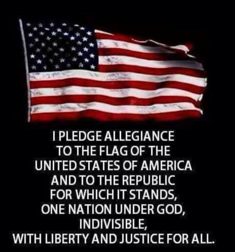 Pledge 9