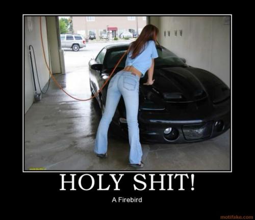 firebird