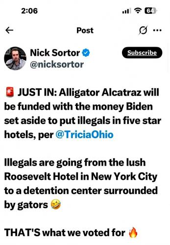 Alligator Alcatraz ~Nick Sortor Post~