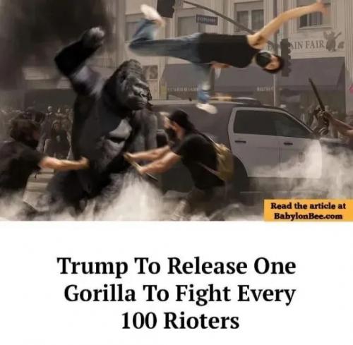 1000103411
