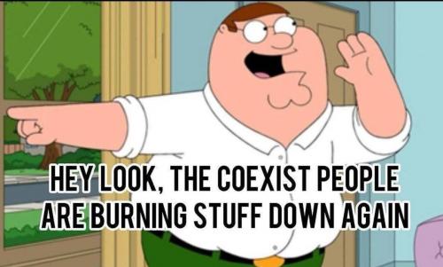 photo_2025-06-11_19-56-00