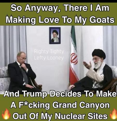MY GOATS  TS