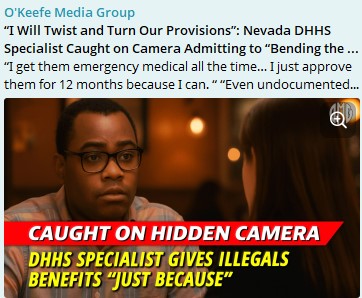 Nevada_DHHS_Specialist_Caught