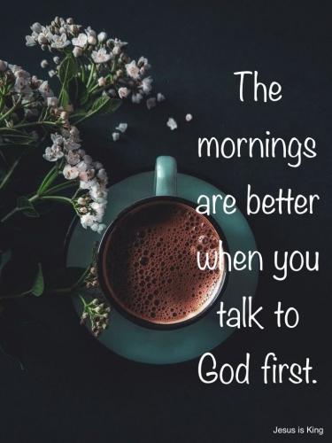 The mornings are